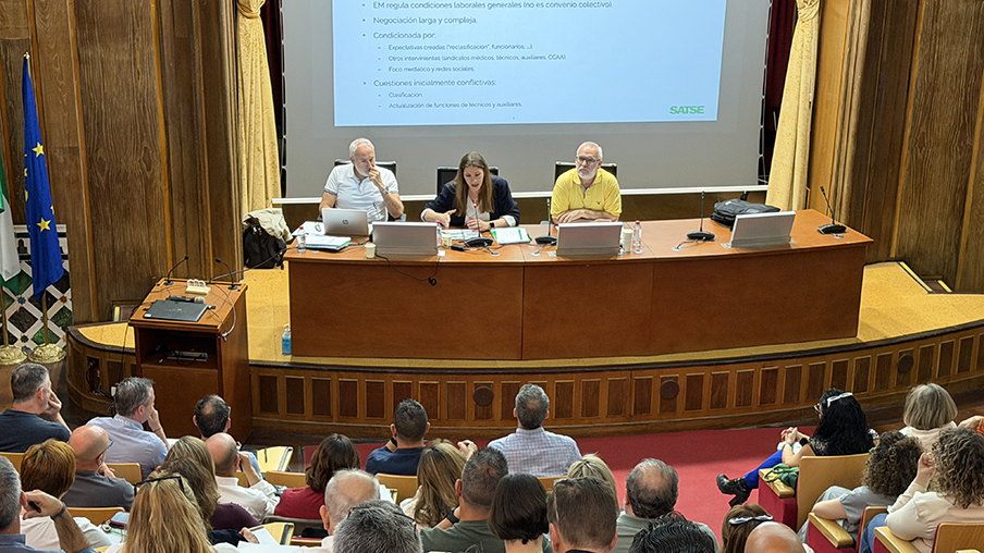Jornada informativa sobre el Estatuto Marco celebrada en Granada